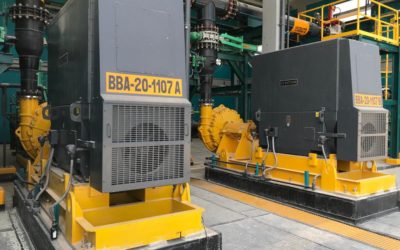 Phosphoric Acid, Phosphates